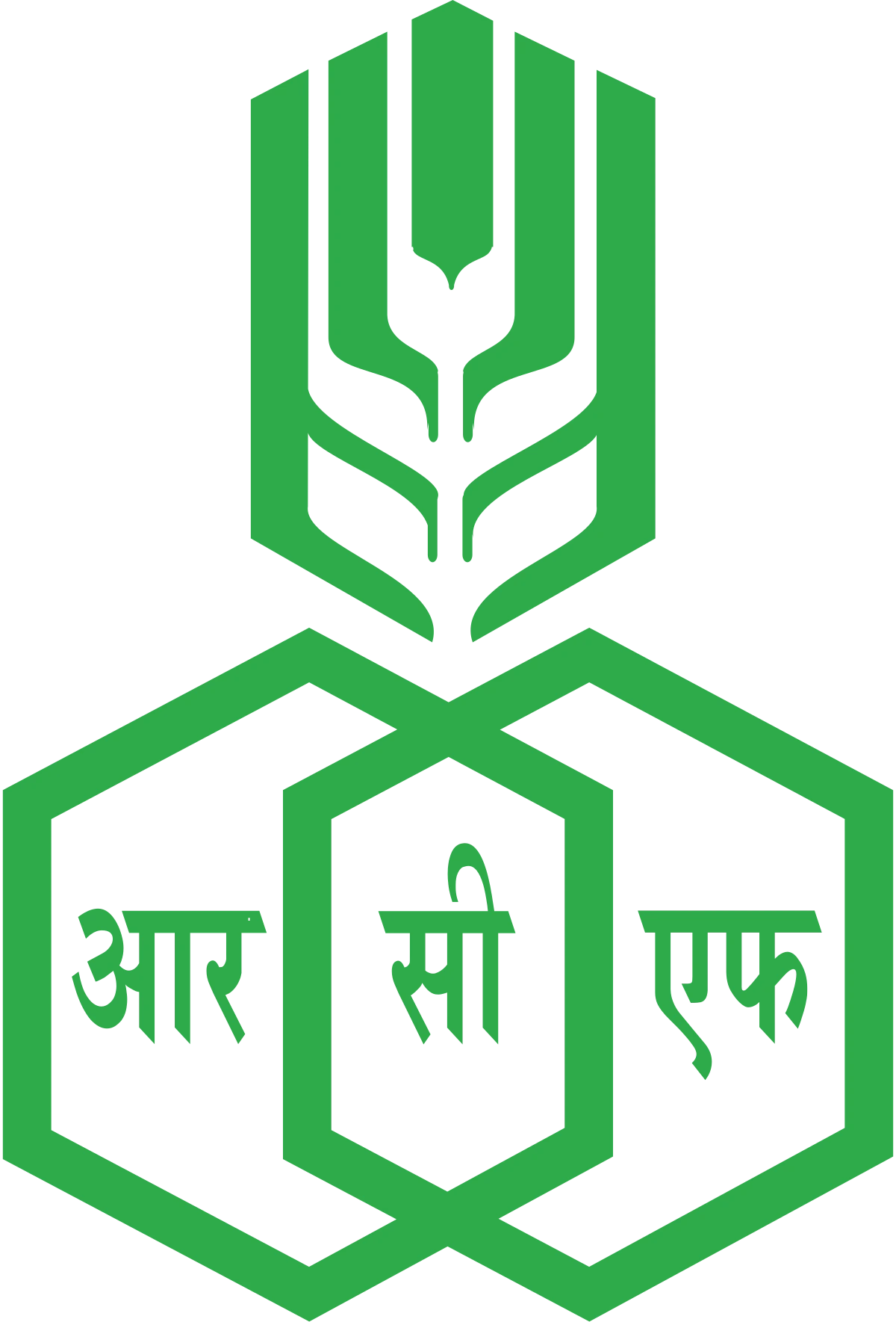 RCFL Logo