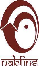 NABFINS Logo