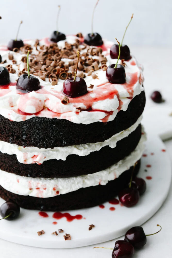 Black Forest Cake Recipe – The Best Homemade Chocolate Cherry Cake with Fresh Whipped Cream